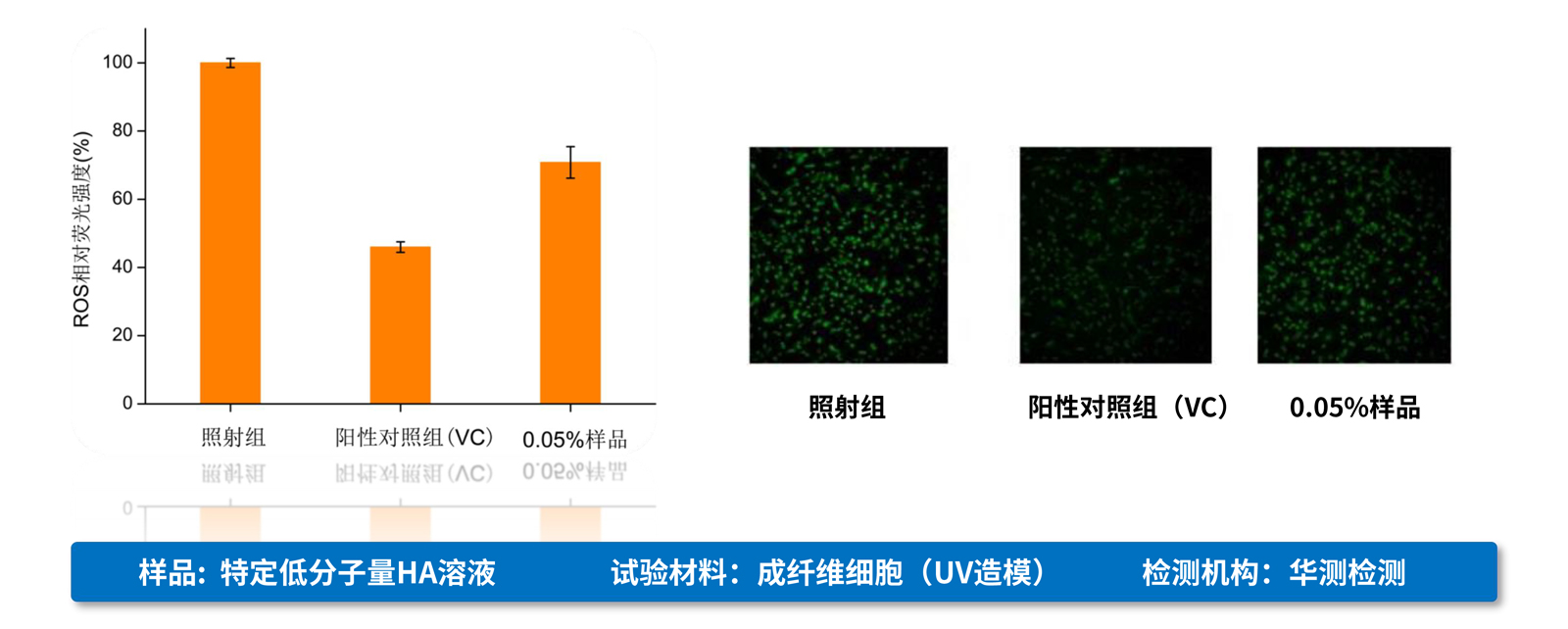 弘康未來(lái)-產(chǎn)品介紹2024-22.jpg