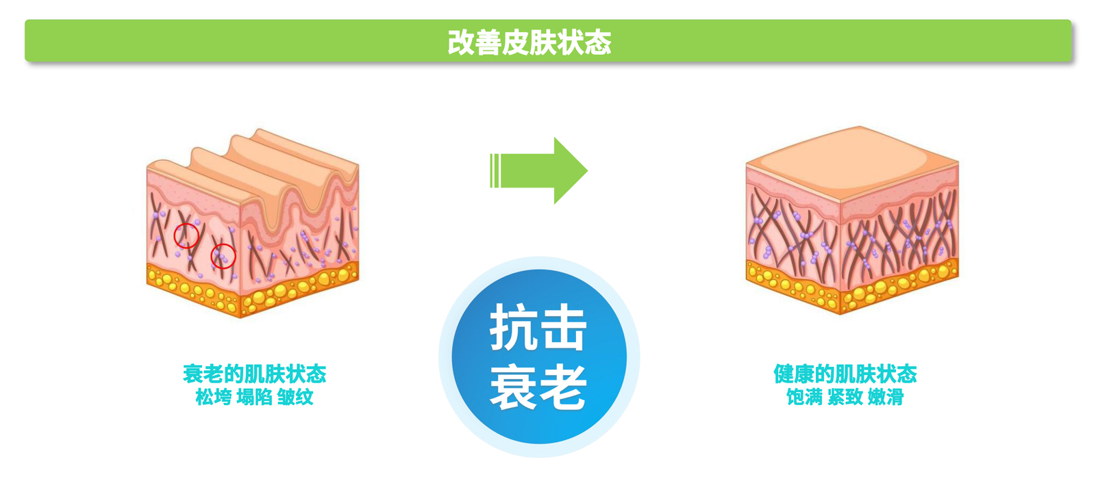 弘康未來(lái)-產(chǎn)品介紹2024-25.jpg