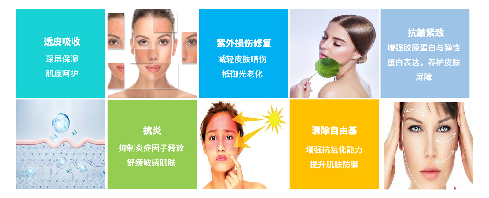 弘康未來(lái)-產(chǎn)品介紹2024-15.jpg