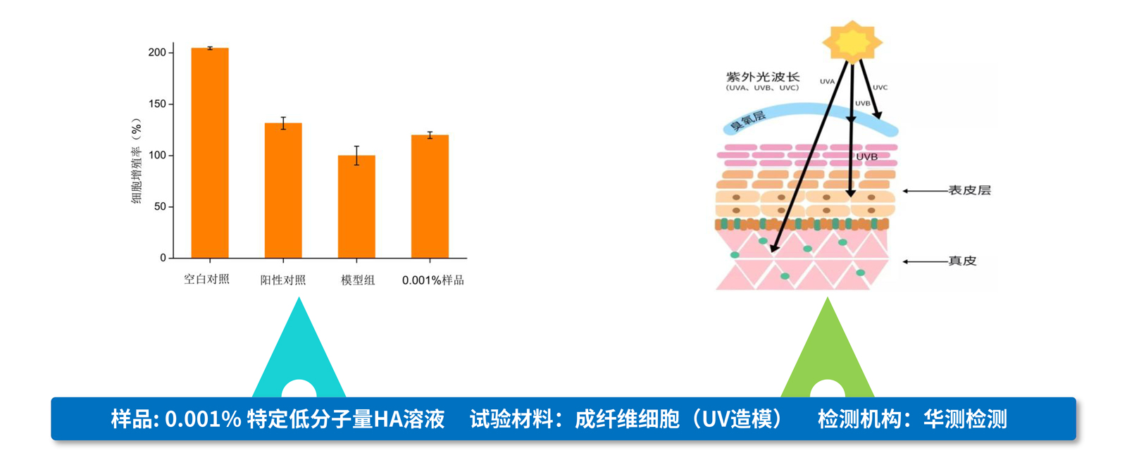 弘康未來(lái)-產(chǎn)品介紹2024-20.jpg