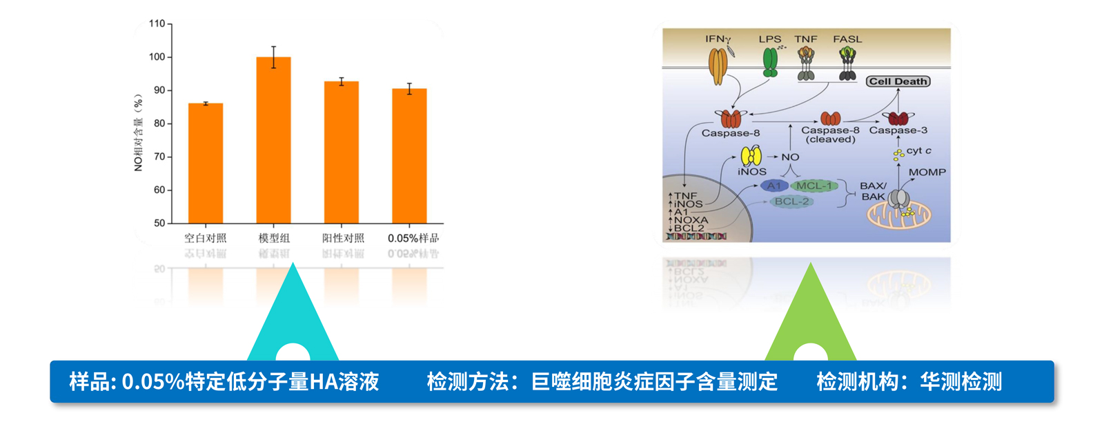 弘康未來(lái)-產(chǎn)品介紹2024-18.jpg