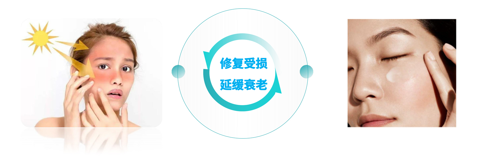 弘康未來(lái)-產(chǎn)品介紹2024-21.jpg