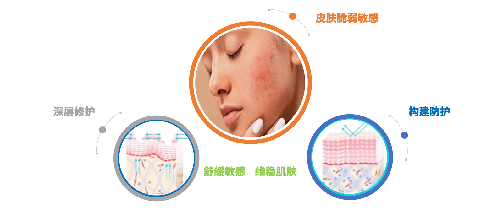 弘康未來(lái)-產(chǎn)品介紹2024-19.jpg